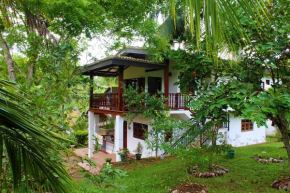 Boganvilla garden
